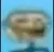 blur_troll
