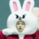 aminhoskzooconfuse