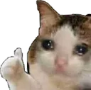 cat_ok