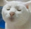dihtapiversimerem Discord emoji