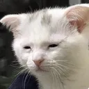 Tired