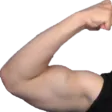 MuscleLeft