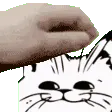 CAT CAT