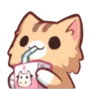 bobacat