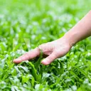 r_touchgrass