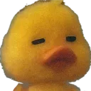 DuckSheesh