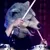 SpearRib_Drumming