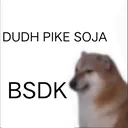 bl_dudhpikesojaBSDK