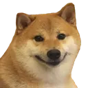 dogsmile dogsmile