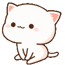 :HGkittysit: