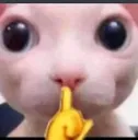 shhh shhh