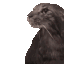 ezgif