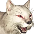 LynxA LynxA