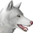 WolfA WolfA