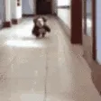 run