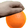 orangepetAAAAAA