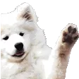 hello