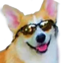 doggystyle doggystyle