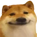 scp939