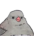 unamusedbirb unamusedbirb