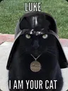 Darthcat Discord Emoji