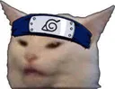 SHINOBICAT Discord Emoji
