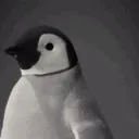 penguinLook