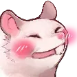 B_rat_blush