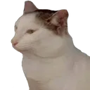 emp_cat