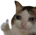 elyciann_sad