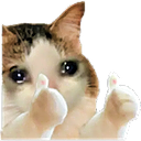Sadok2 Discord emoji