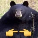 pls
