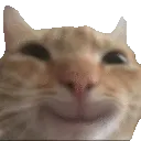Gatosonrisitaa