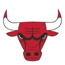 Bulls Bulls
