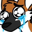cry cry