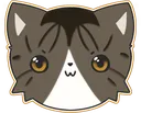 Toki