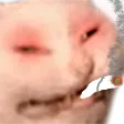 zekesmoke zekesmoke