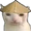 NaMCat