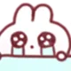 bunnycry
