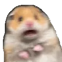 scared