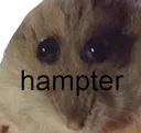 hampterremovebgpreview