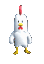 chickendance