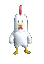 chickendance