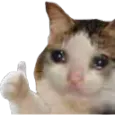 sadthumbsup