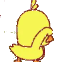 Am_z_DuckyDance