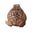 beeble