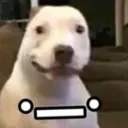 0_0