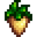 Parsnip Parsnip