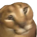 Floppushake