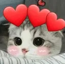Am_hearts